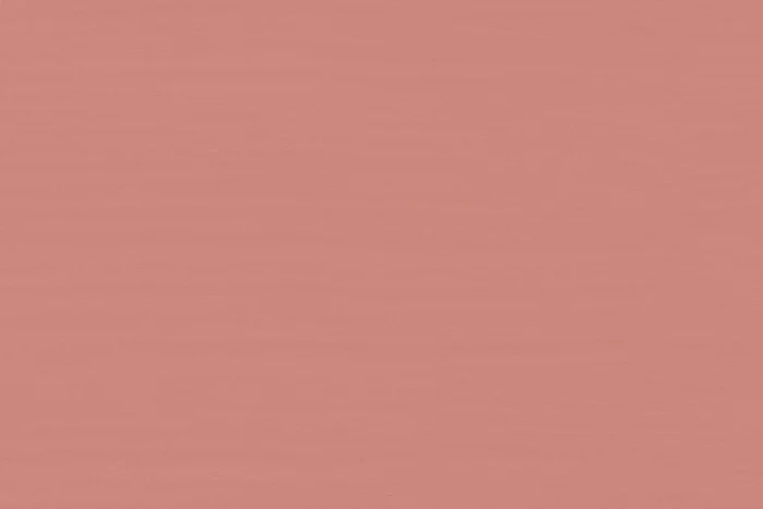 anniesloan_swatches_scandinavian_pink_896_1.jpg