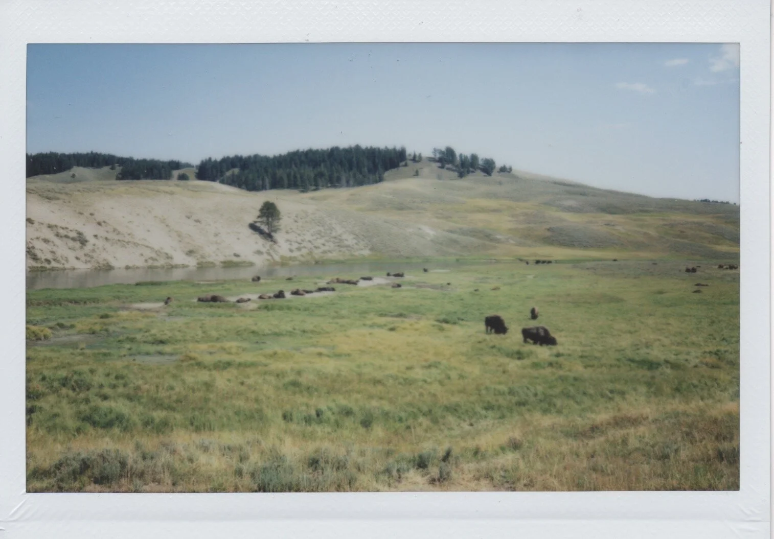 Yellowstone 2017 - 5.jpeg