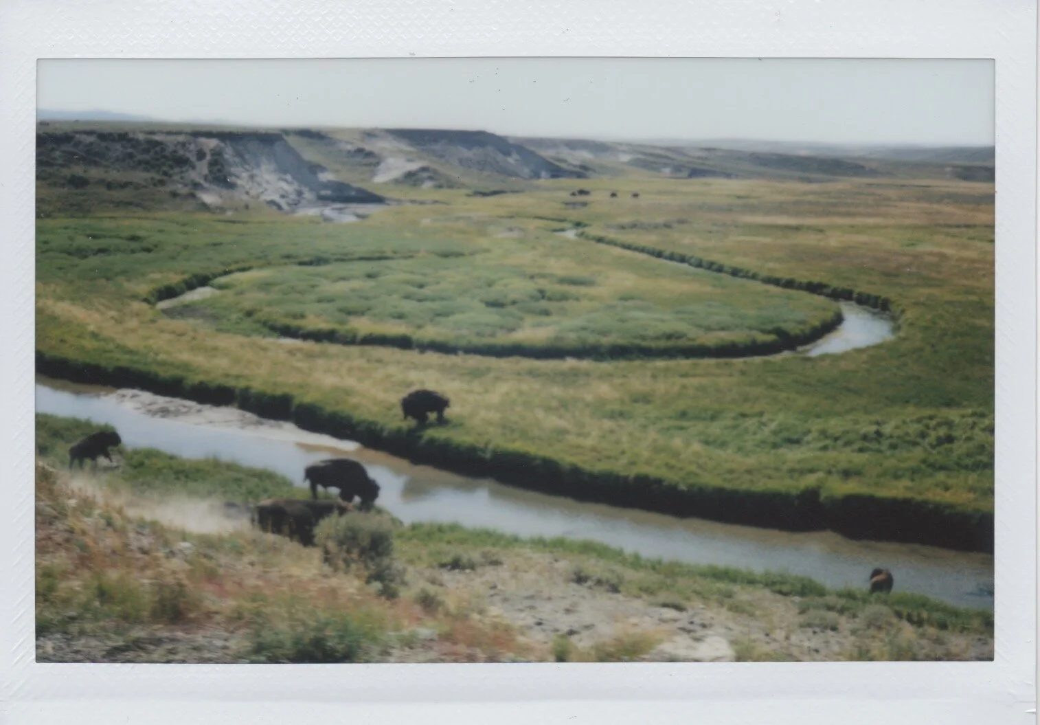 Yellowstone 2017 - 4.jpeg