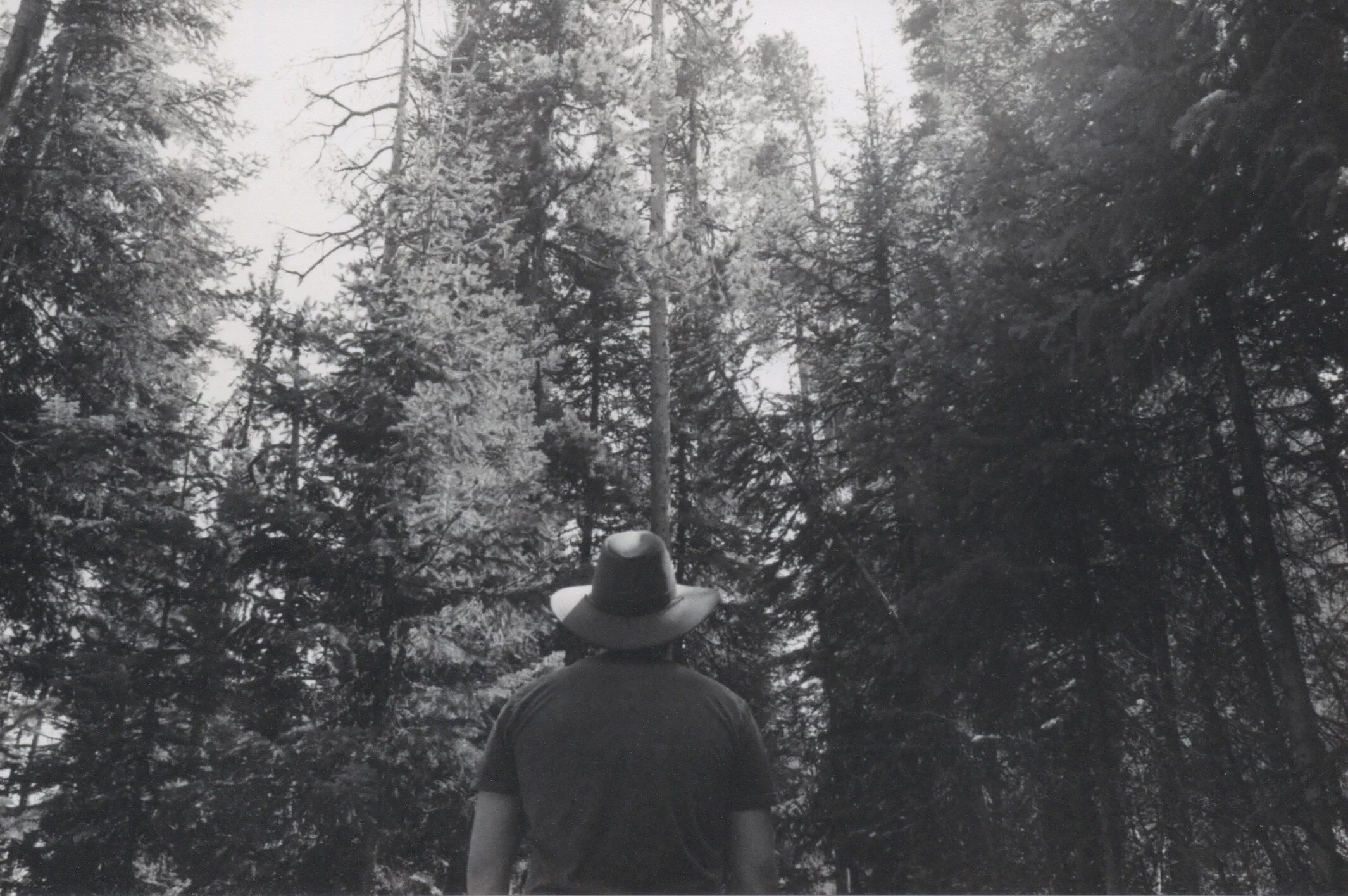 Wyoming 2017 - FM-10 3.jpeg