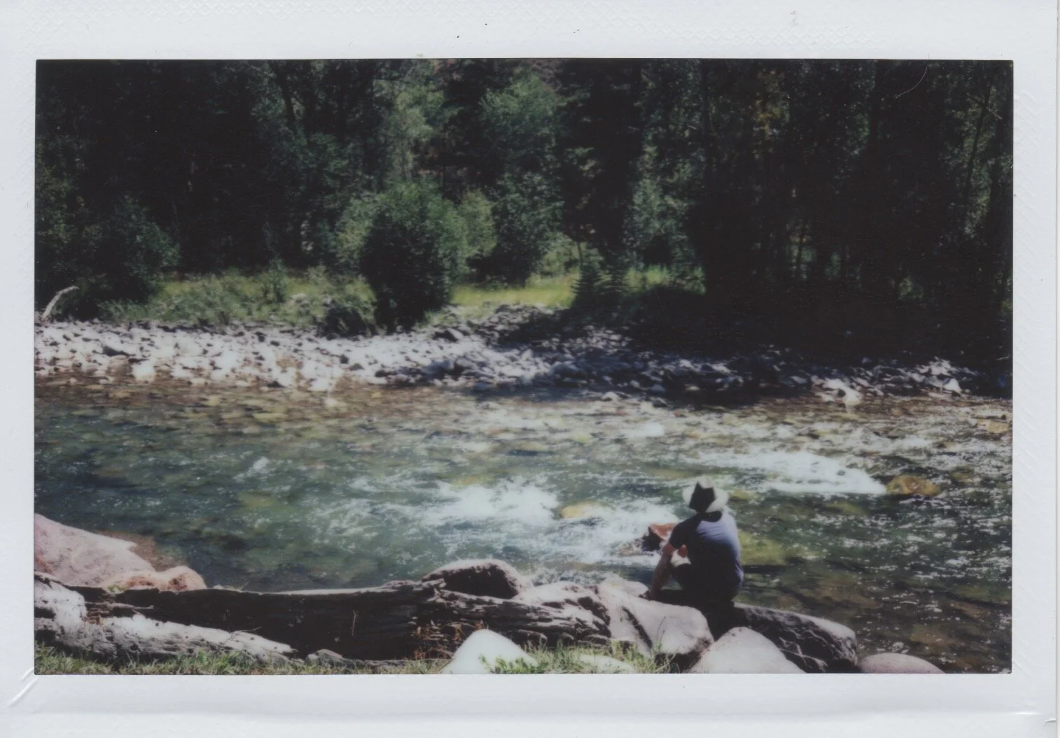 Carbondale 2017 - 6.jpeg