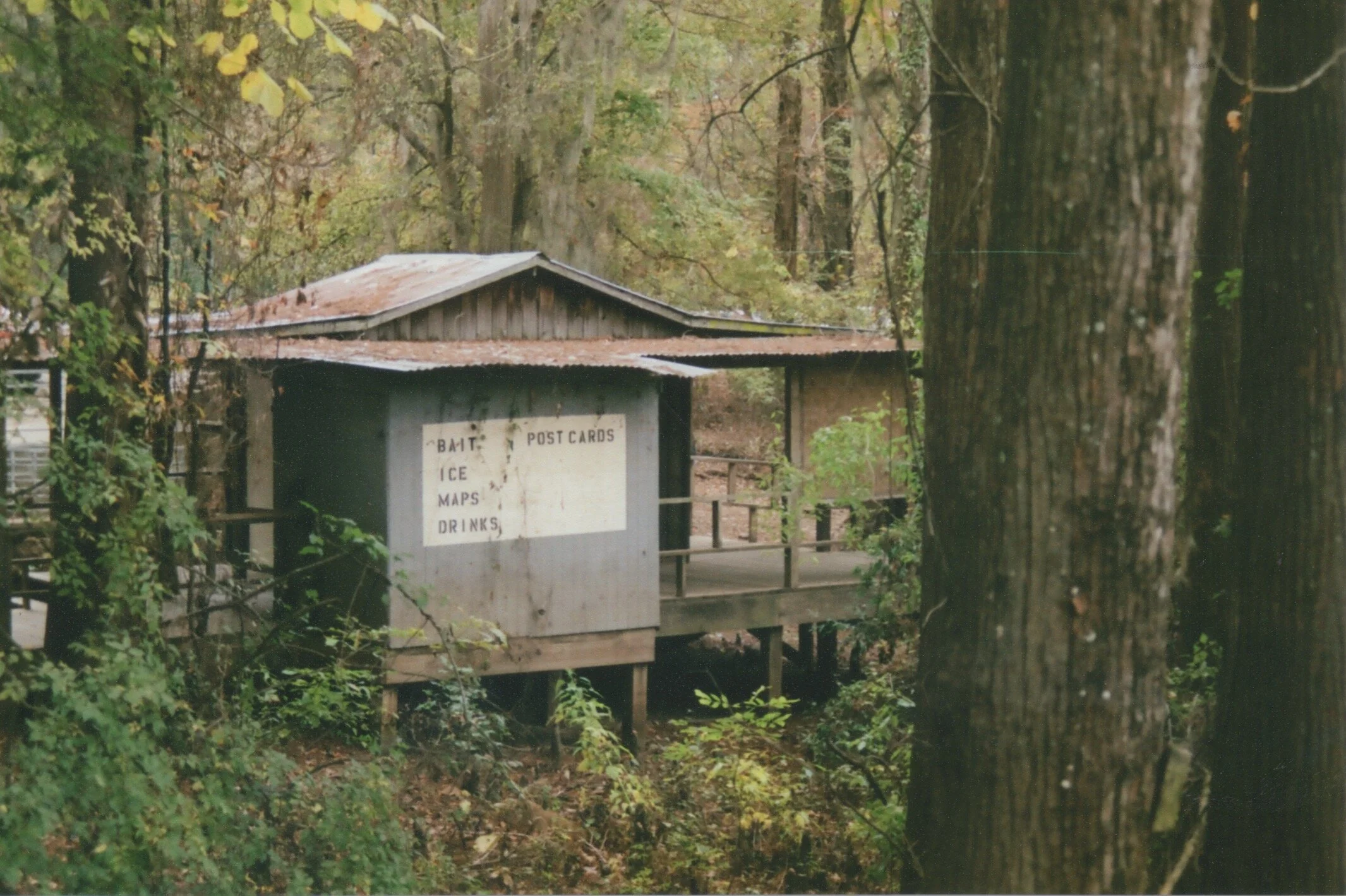 East Texas pt. 1.jpeg