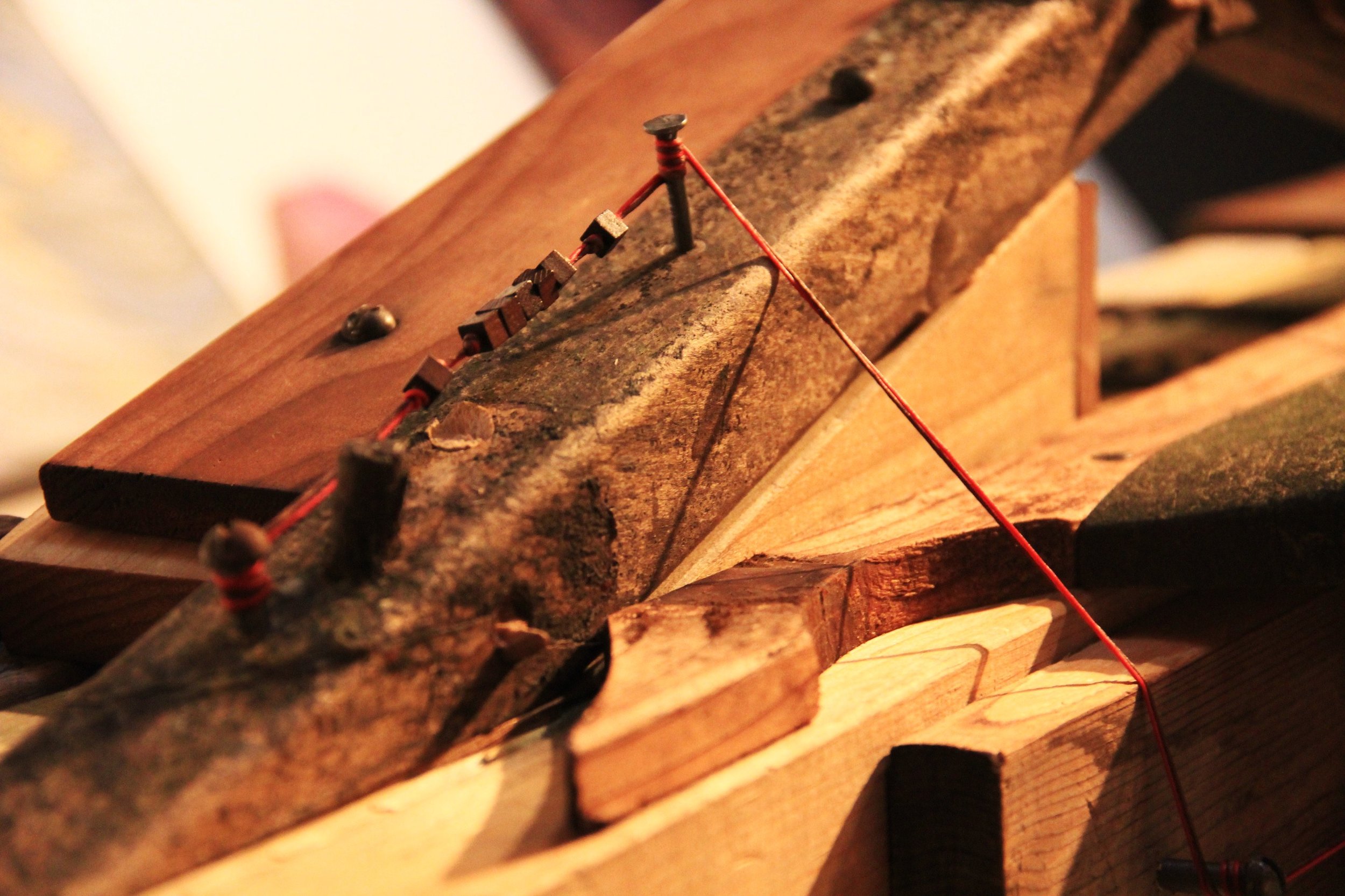 (Detail) Being; replanted