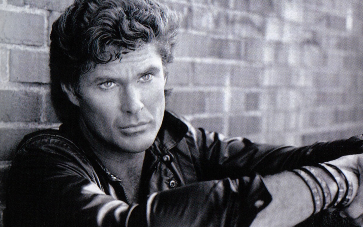 hoff.jpeg