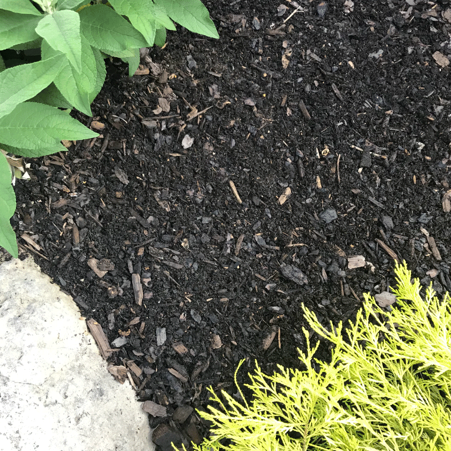 Mulching: The Finishing Touch