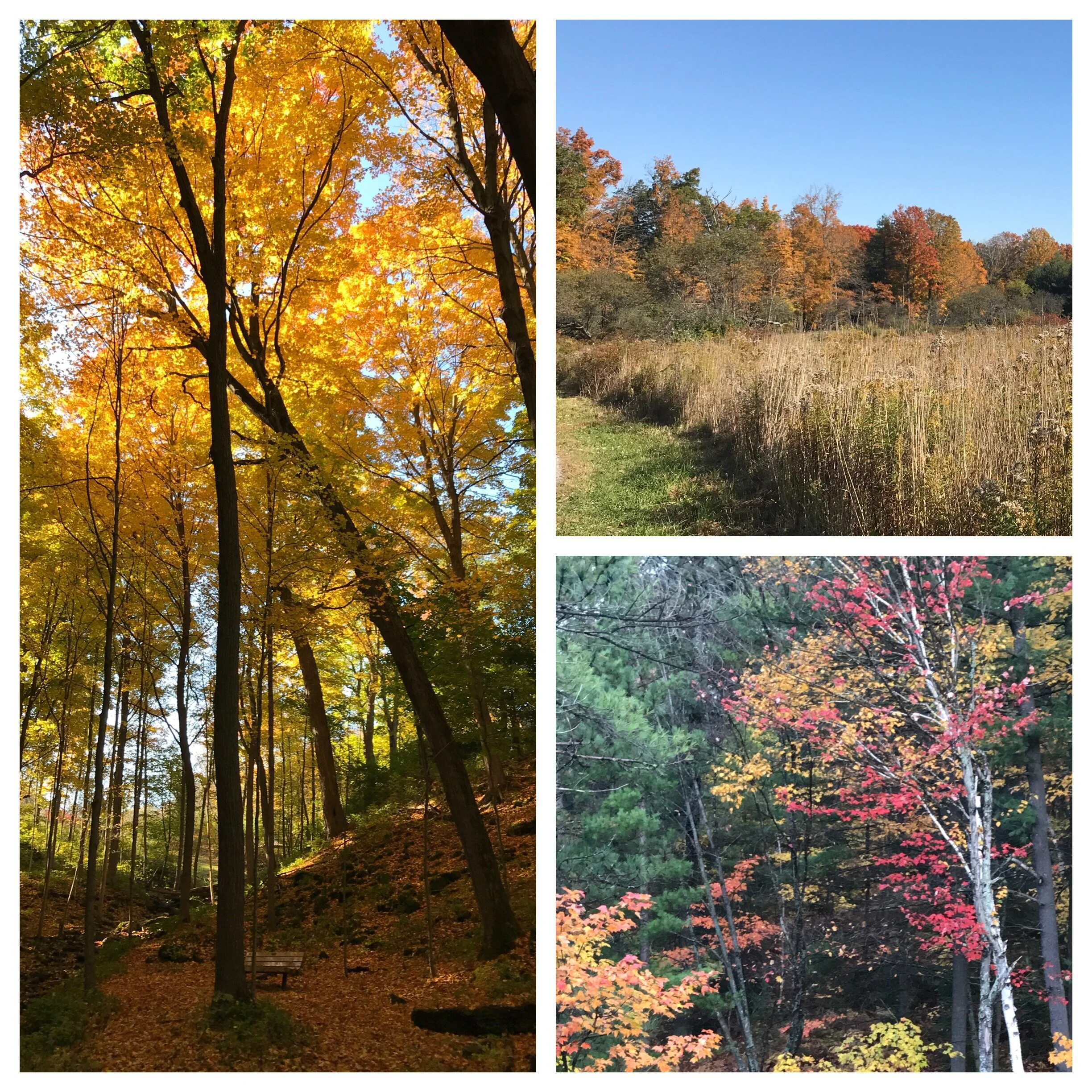 Colour, colour everywhere!