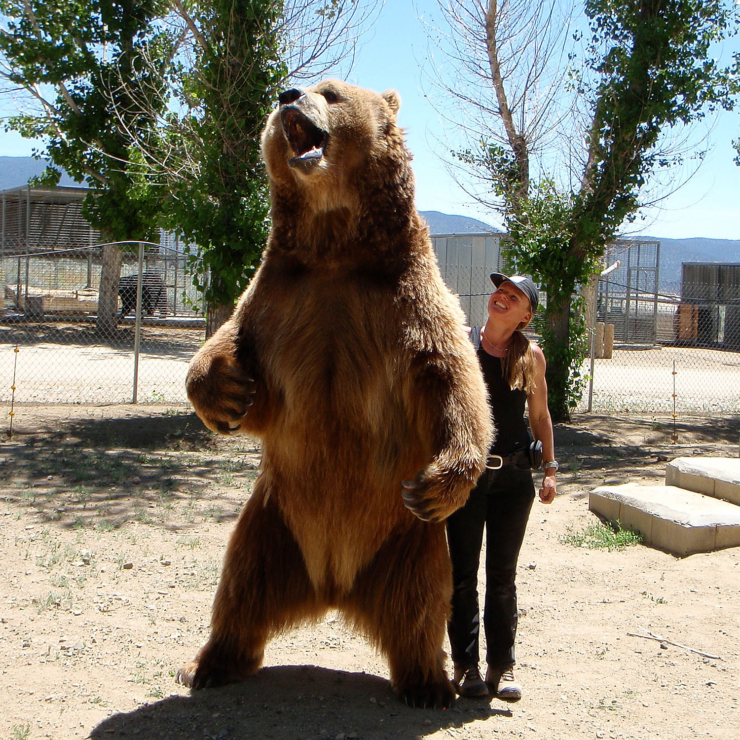 Kirsko Film Animals Kirstin Feddersen and Grizzly Bear 1500pxw.jpg