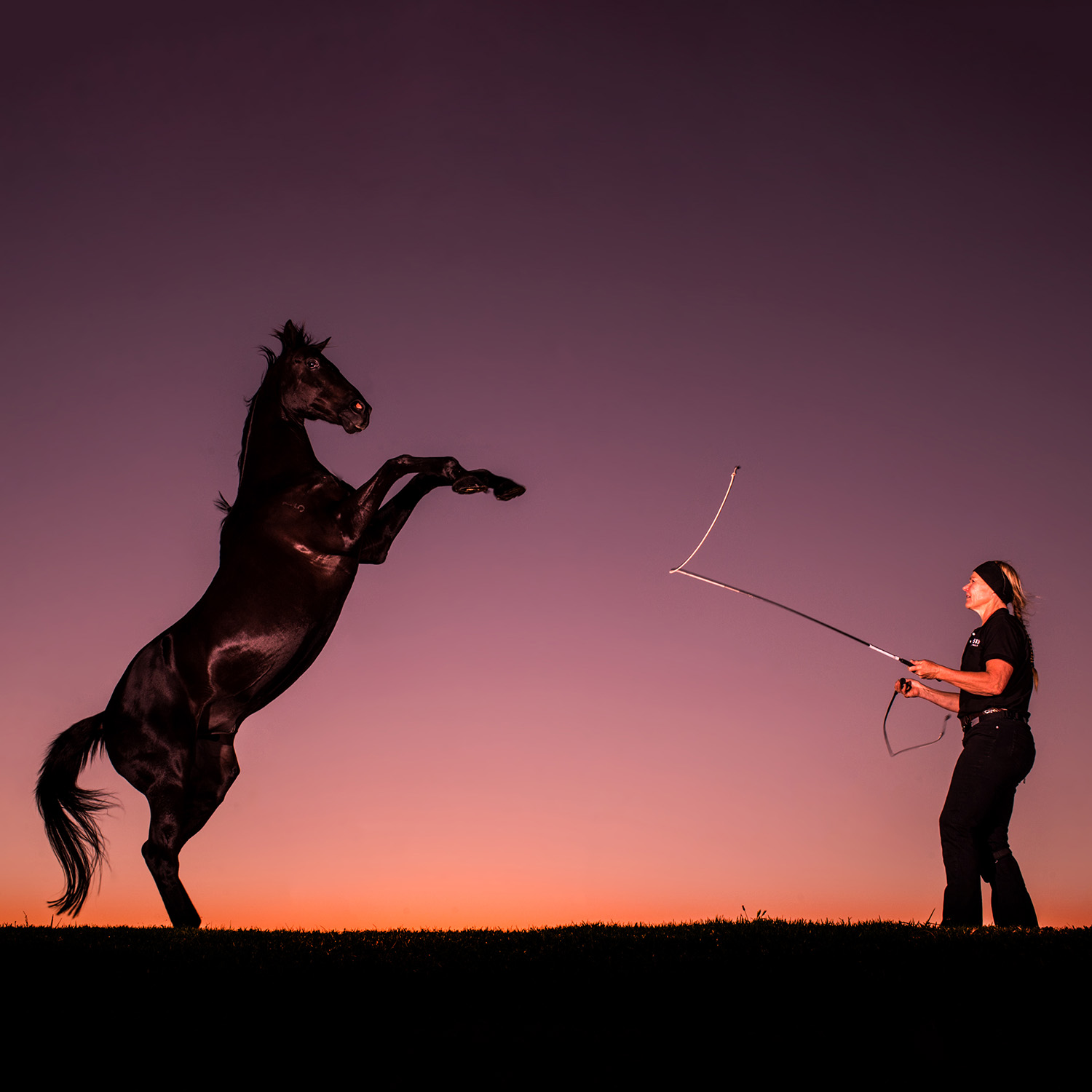 Kirsko Film Animals Kirstin Fedderson Liberty Training Horse 1500x1500px.jpg