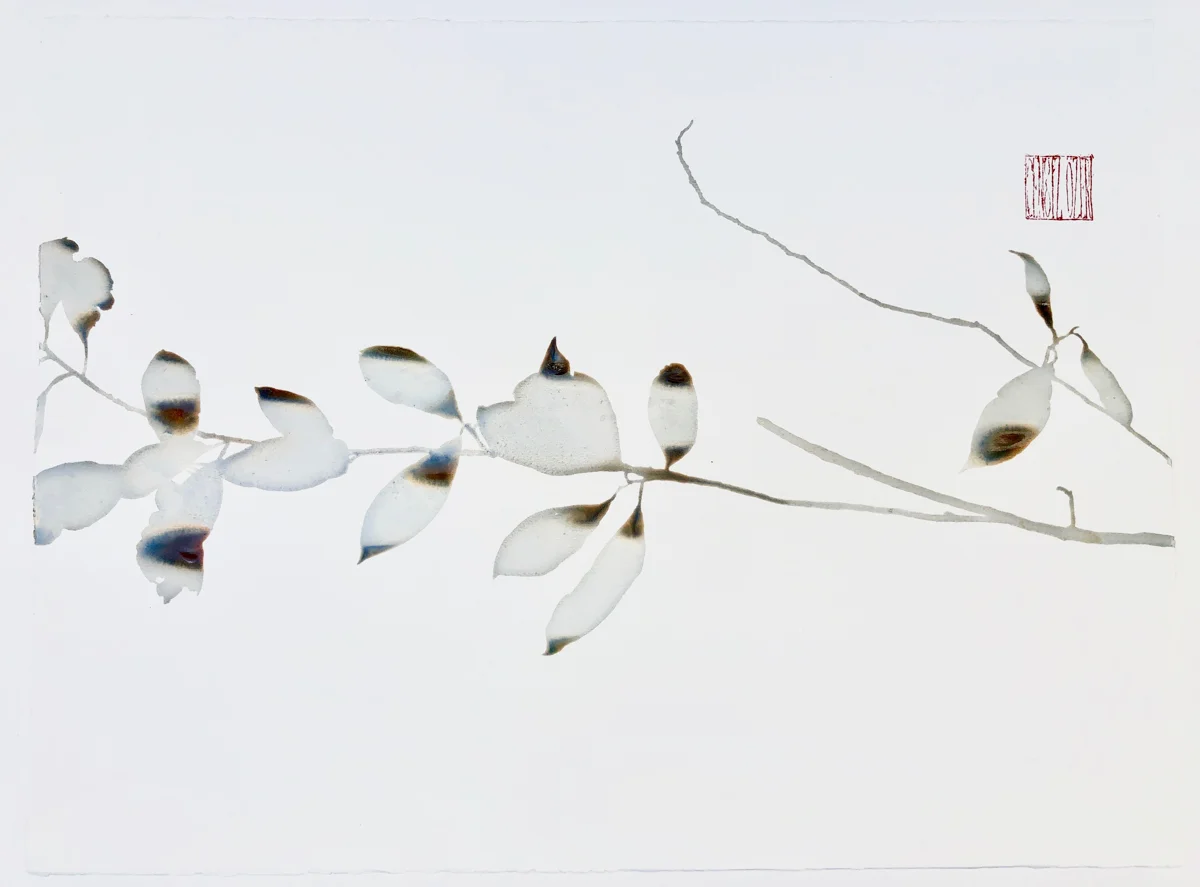 Aquarelles-2018-2.jpg