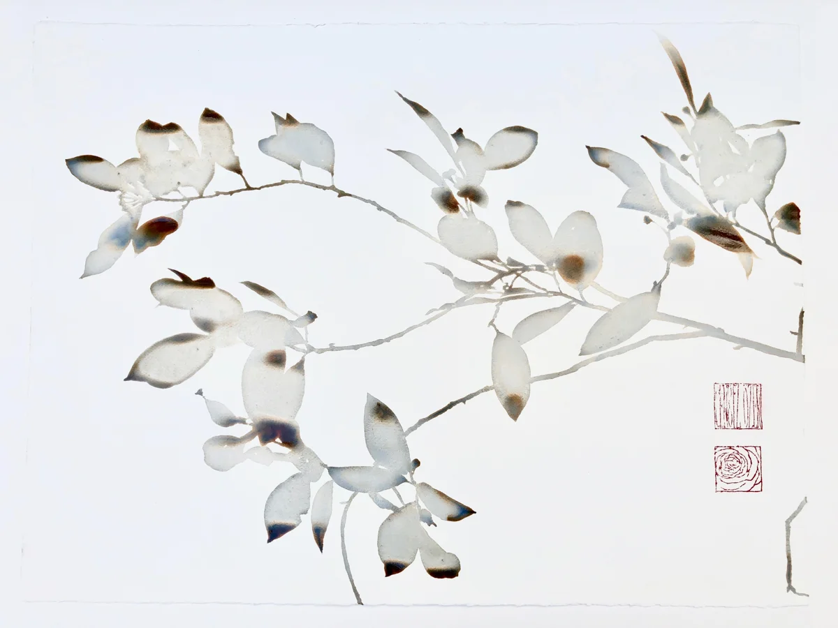 Aquarelles-2018-7.jpg