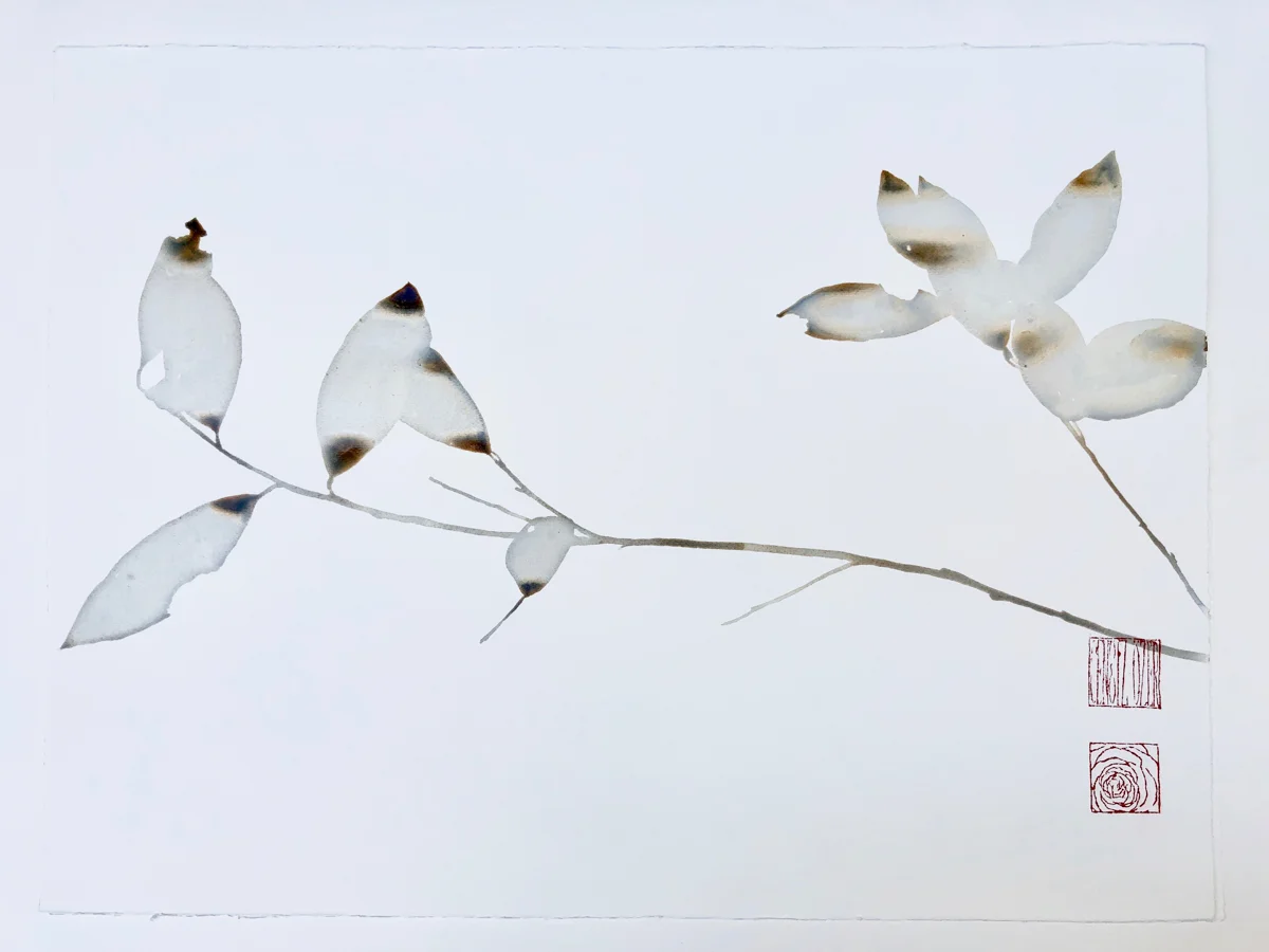 Aquarelles-2018-11.jpg