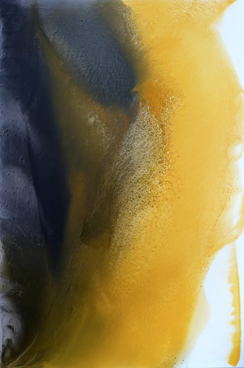 Exhibition-2008-2.jpg