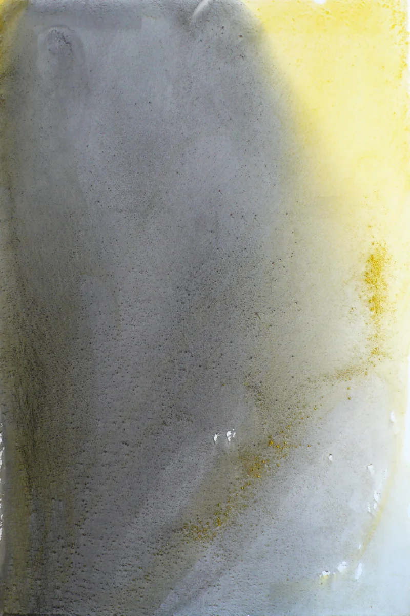 Exhibition-2008-1.jpg