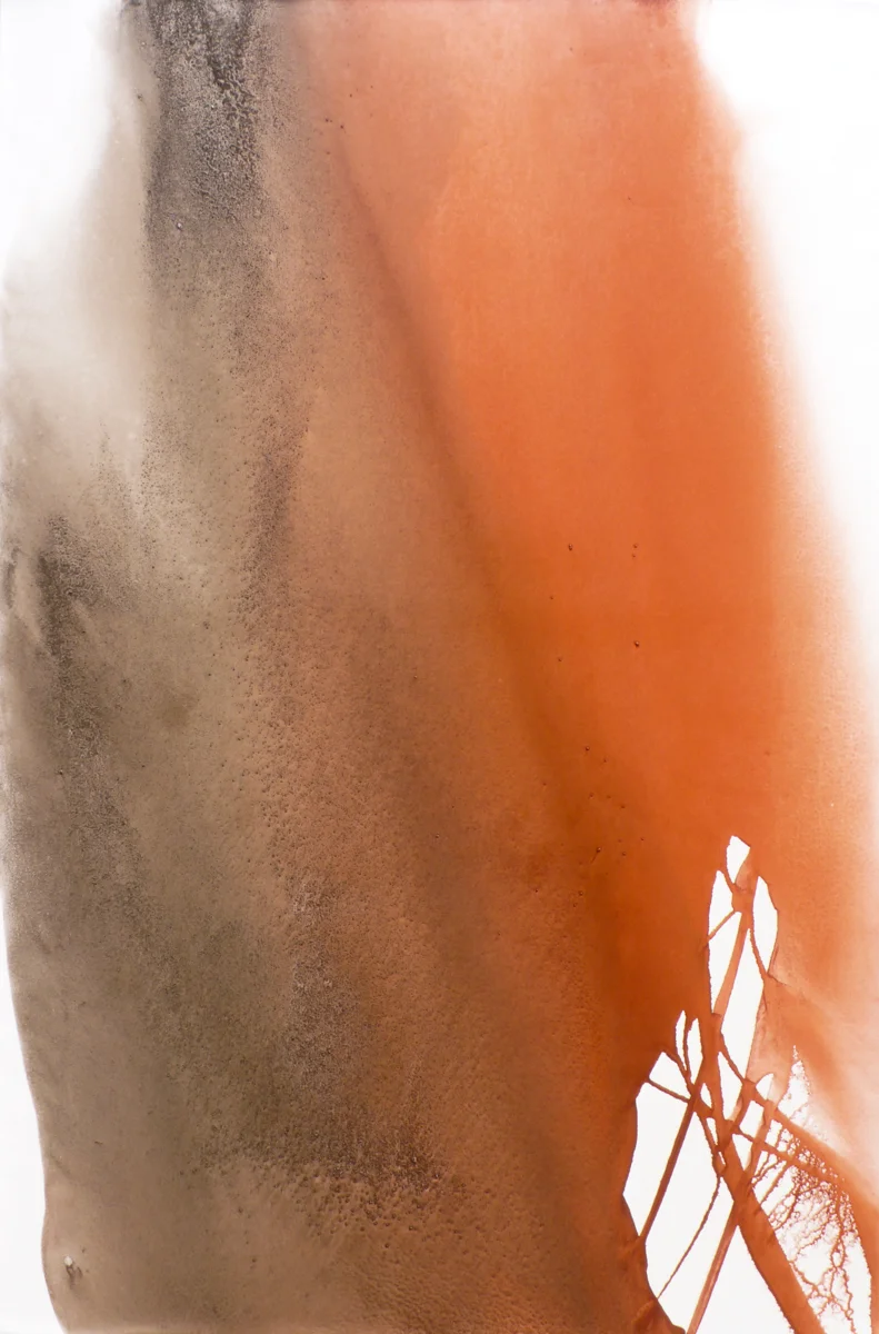 Exhibition-2008-20.jpg
