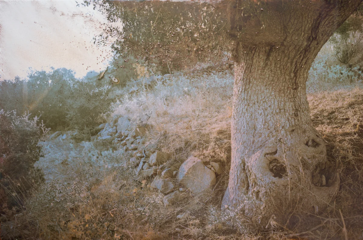 Mixed-art-work-2018-15.jpg