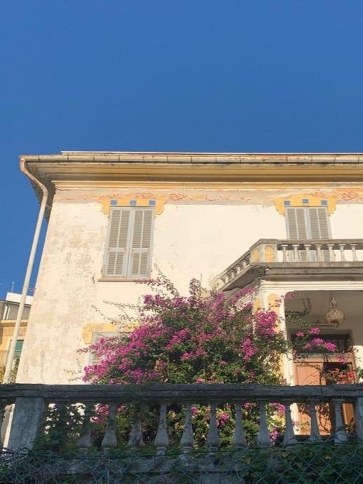 New project: Villa La Rosita