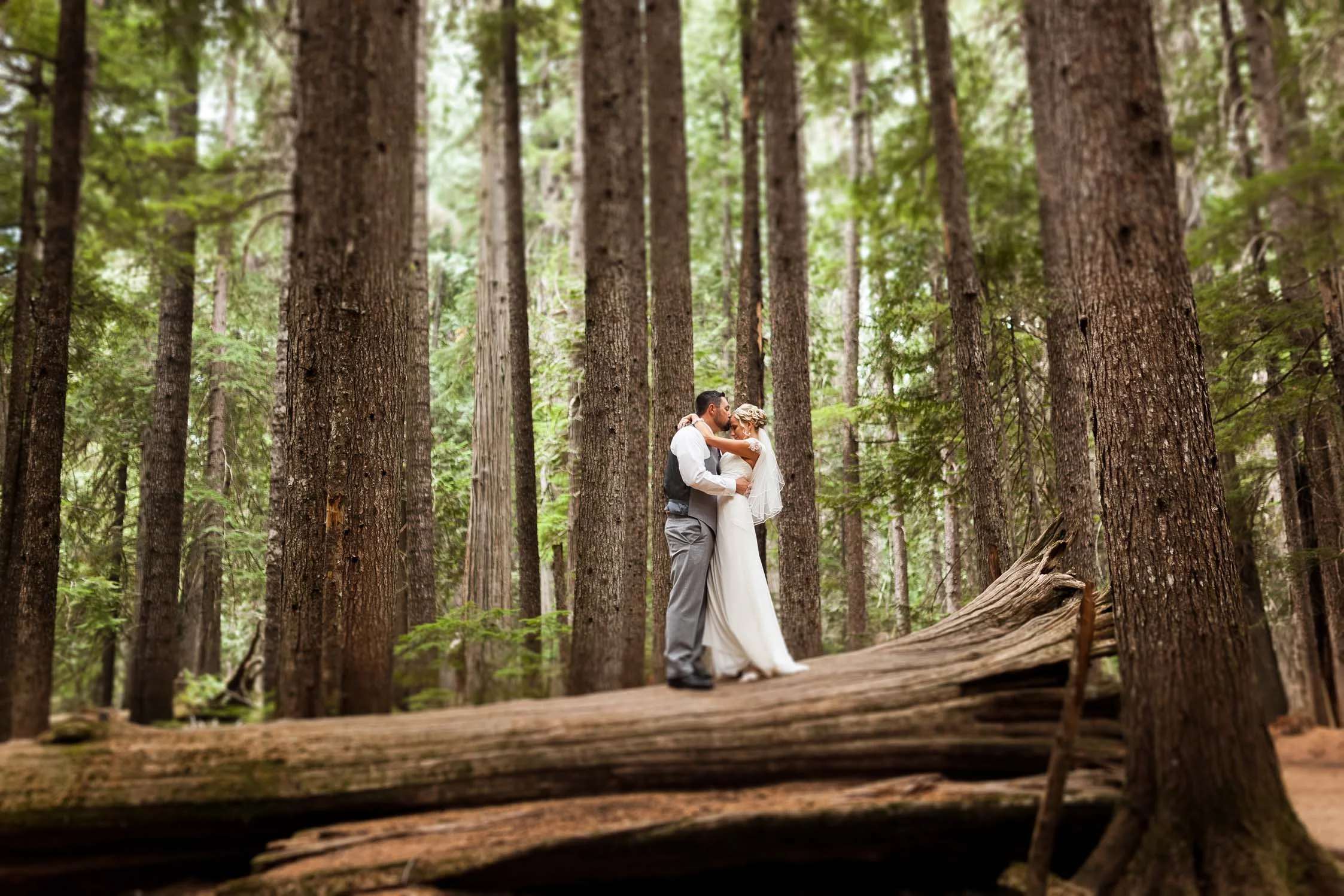 LooyengaPhotography--5.jpg