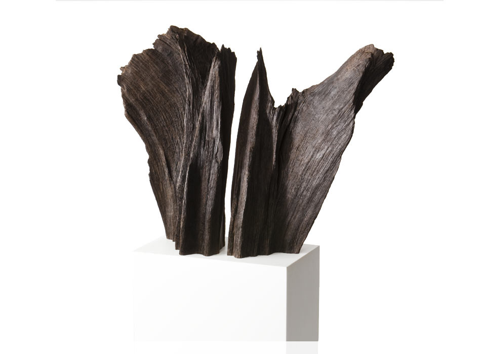Wings, Split Root Form, Bog Oak