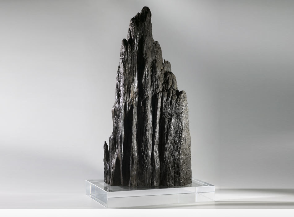 Karst Pinnacle, Prehistoric Bog Oak