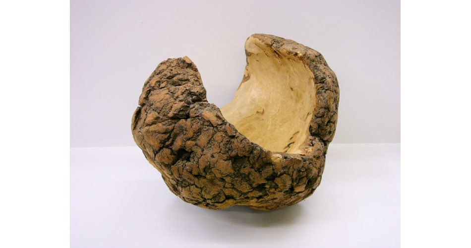 Silver Birch Burr Vessel