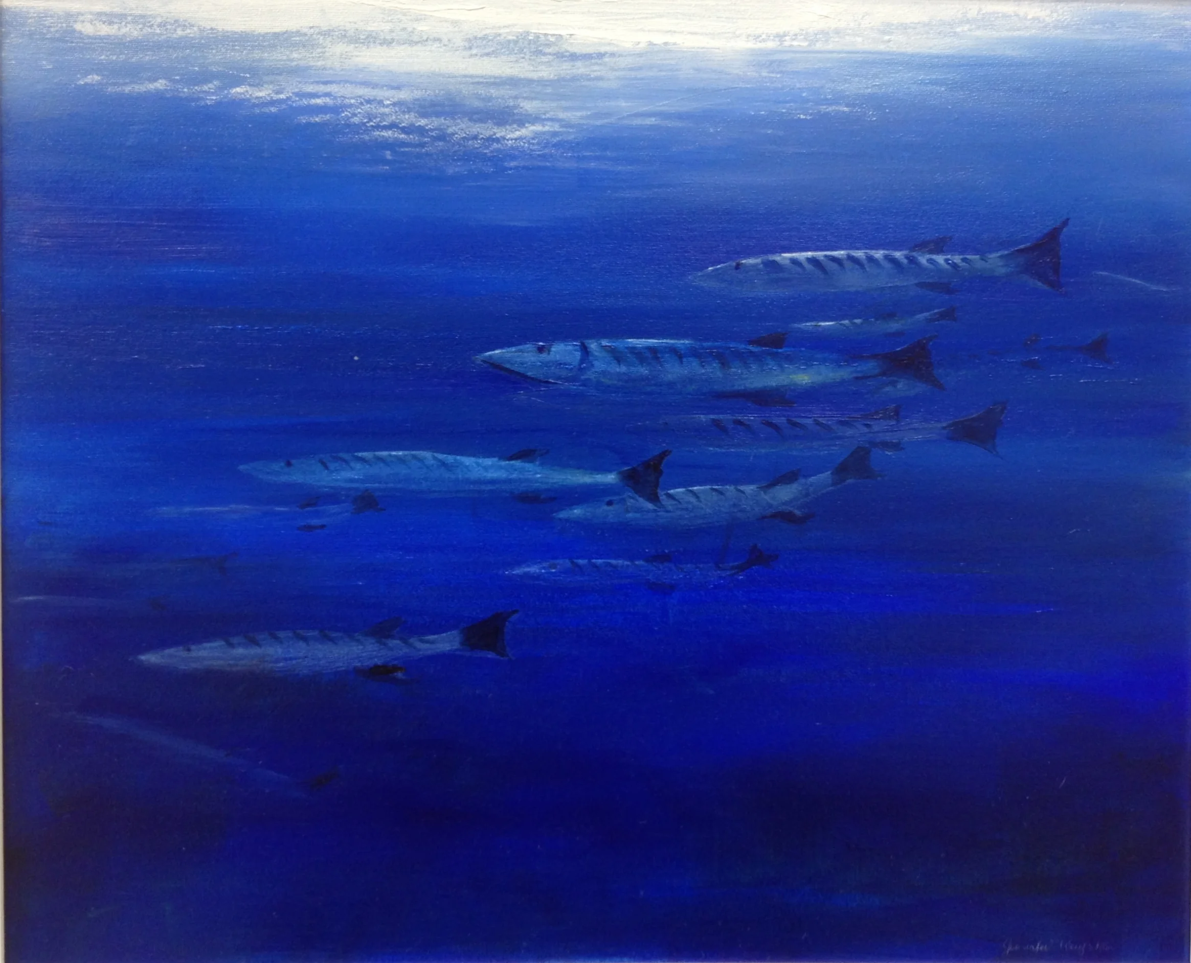 'Baracudas Passing'.JPG