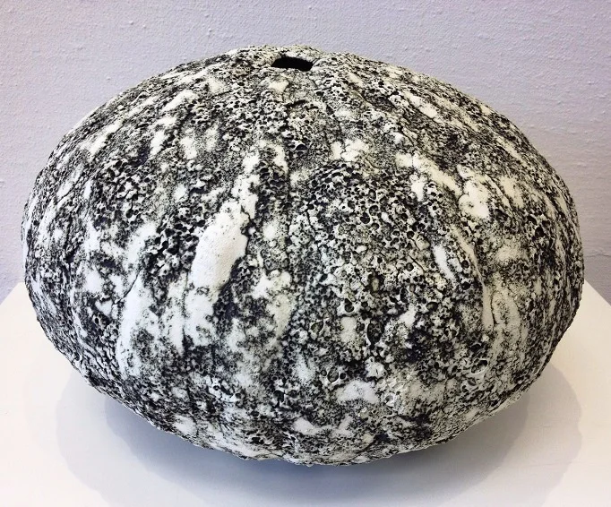 Encrusted Pod - Ceramics.JPG