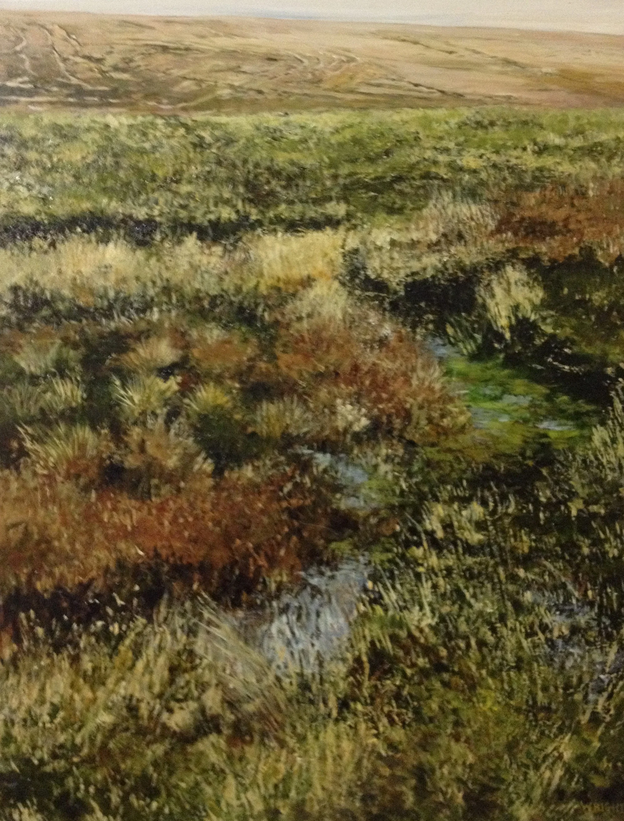 Nial Wright-Wetland.JPG