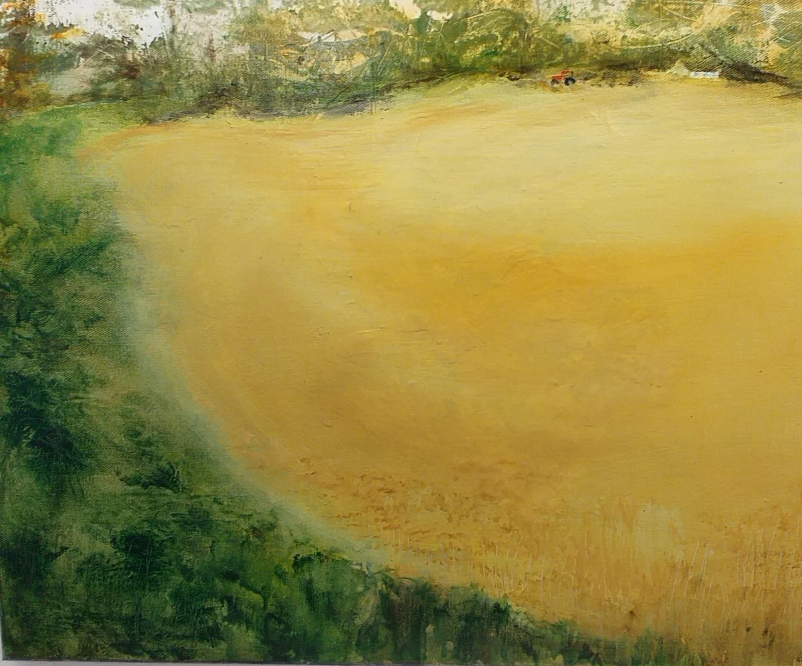 Trctor in the top field.JPG