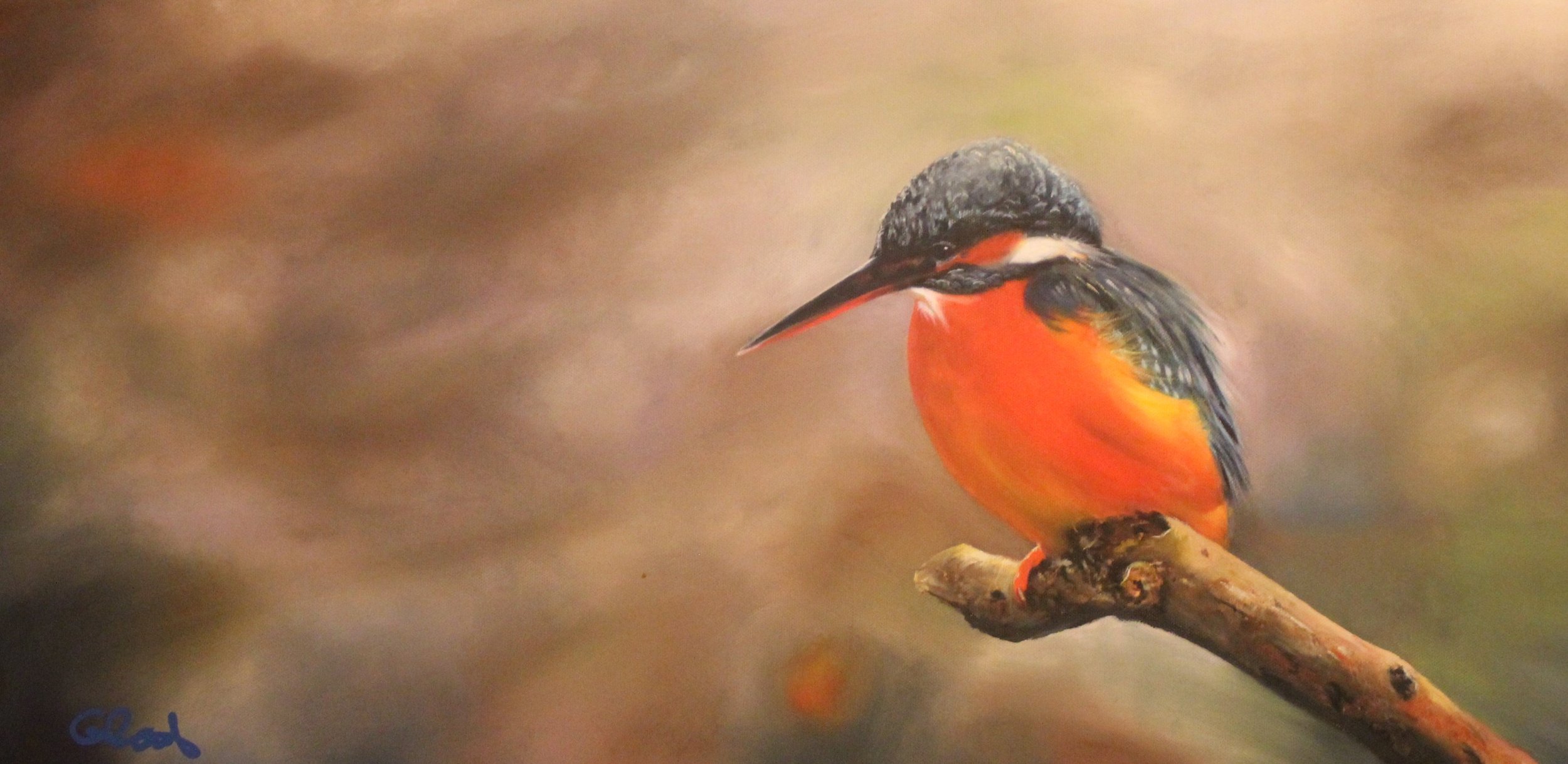 Kingfisher Waiting.jpg
