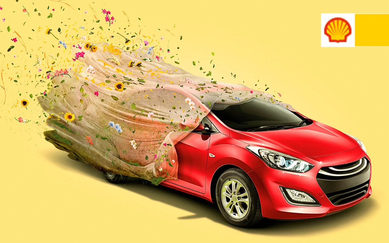 shell-cover.jpg