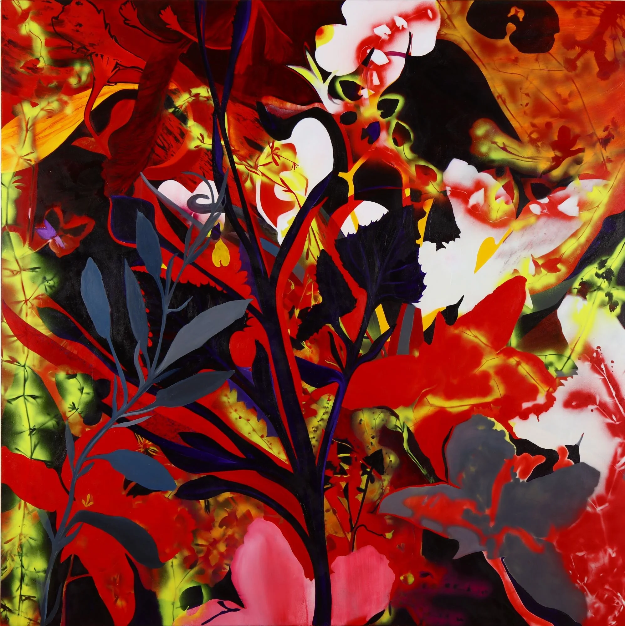 botanic outcasts (first one) 4MP.JPG