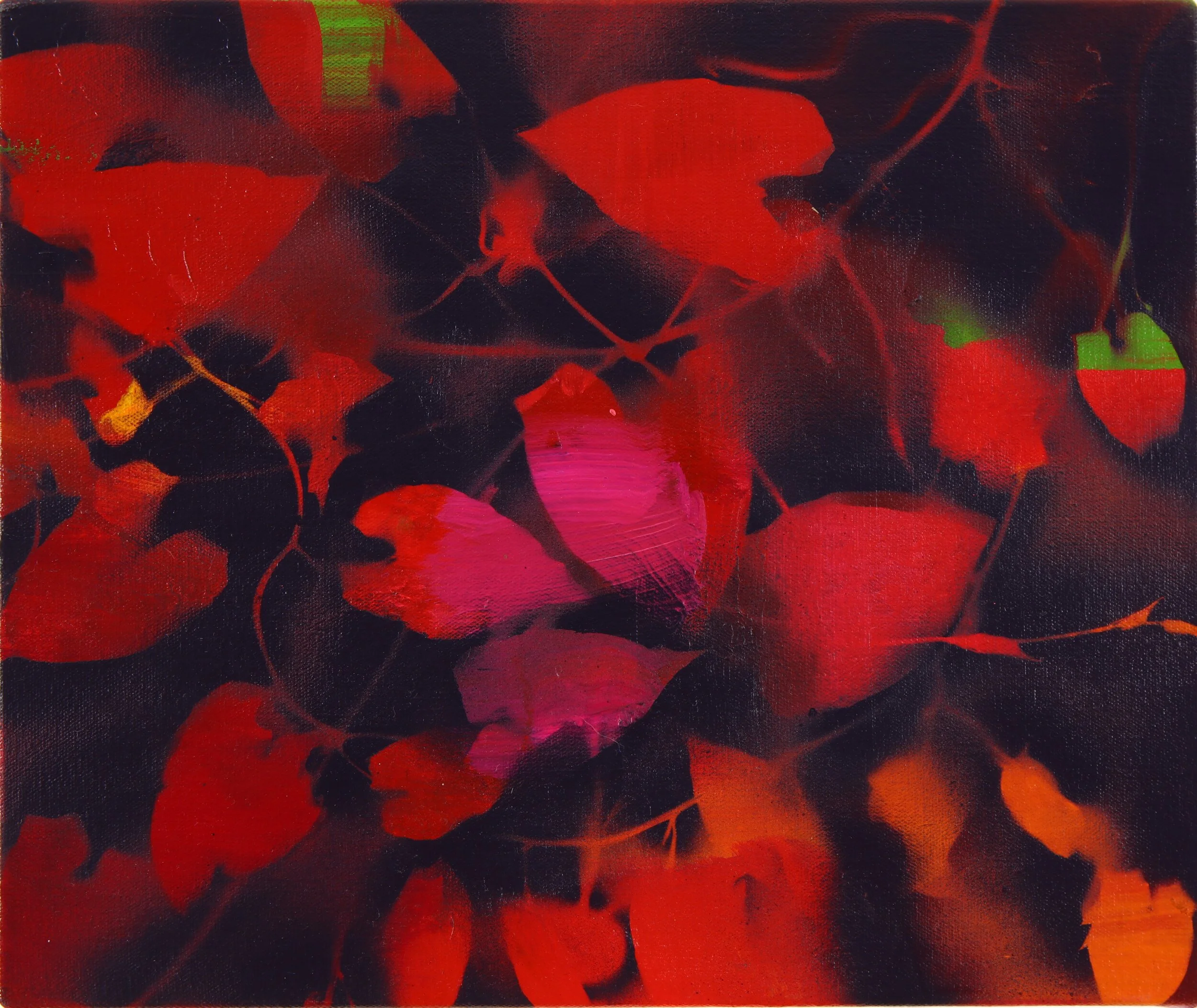 EDITED BINDWEED.jpg