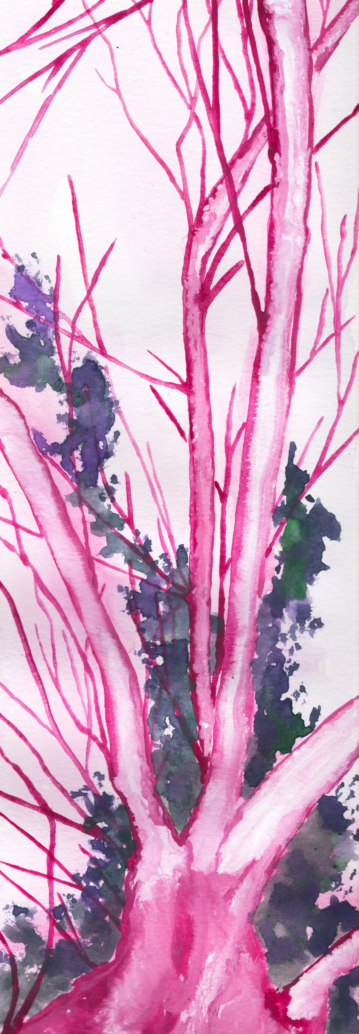 Time spent among the woods is beautiful.jpg