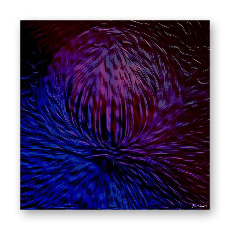 TwinWebs_Abstract_14.jpg
