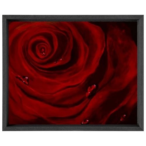 Linda Dennery - Floribunda Red - 30 x 42 x 0.5in