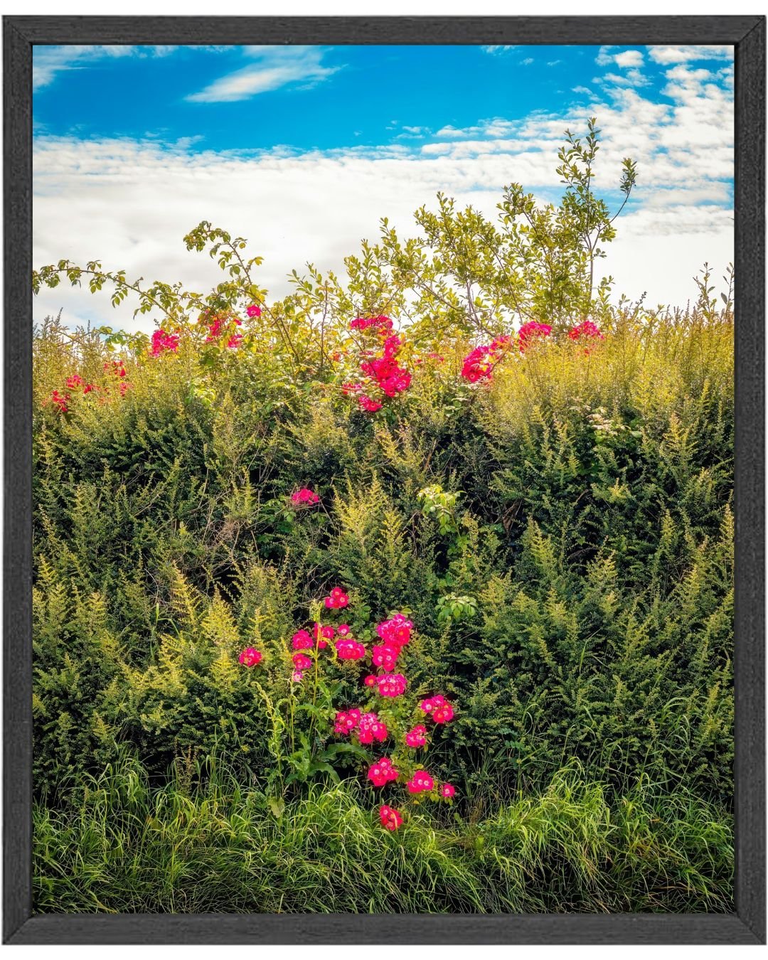 James A. Truett - Nature's Summer Tapestry - 101 x 76cm