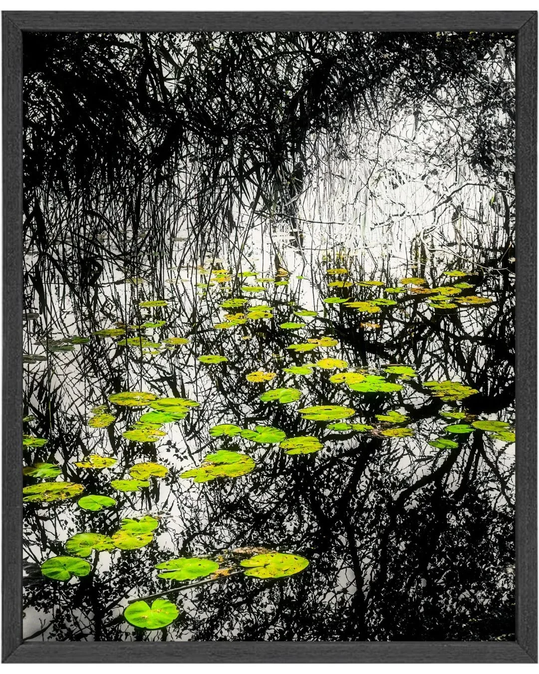 James A. Truett - Green Leaves on a Pond - 102 x 76cm