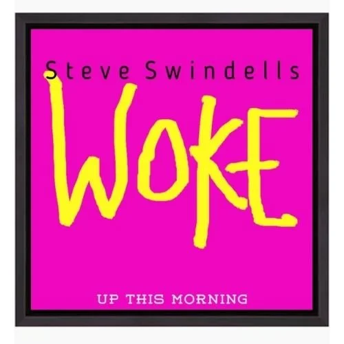 Steve Swindells - Woke Up This Morning