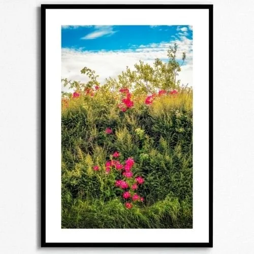 Prints Collection (2).jpg