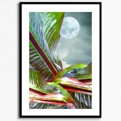 Diseño sin título - 2026-01-29T152457.180.jpg