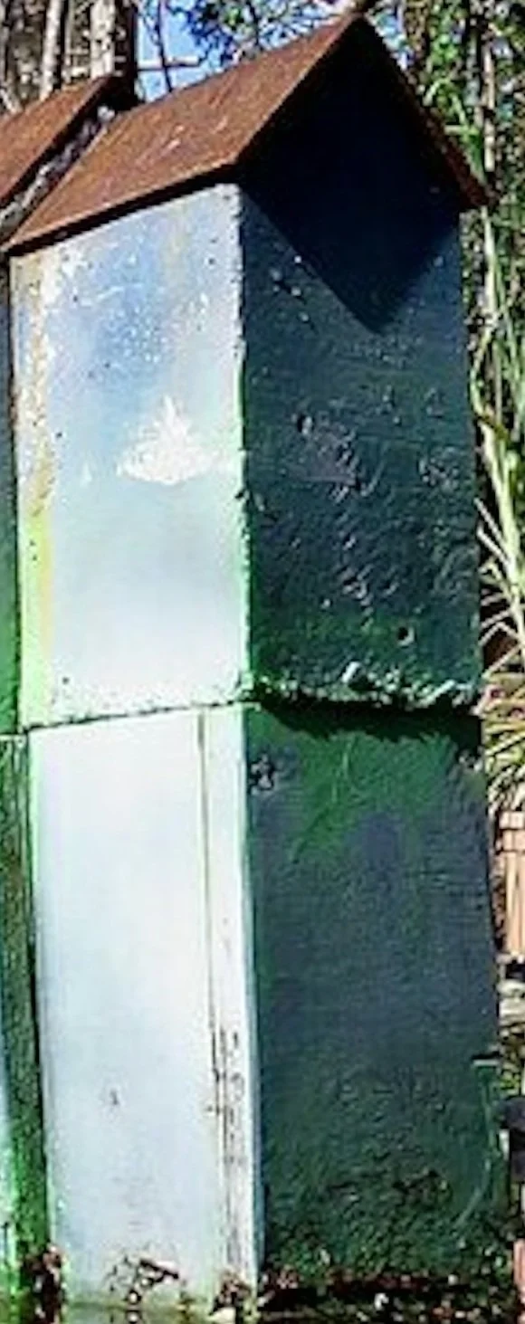 651a7cd8-c886-4221-b9f5-f2b046802796 (5).jpg