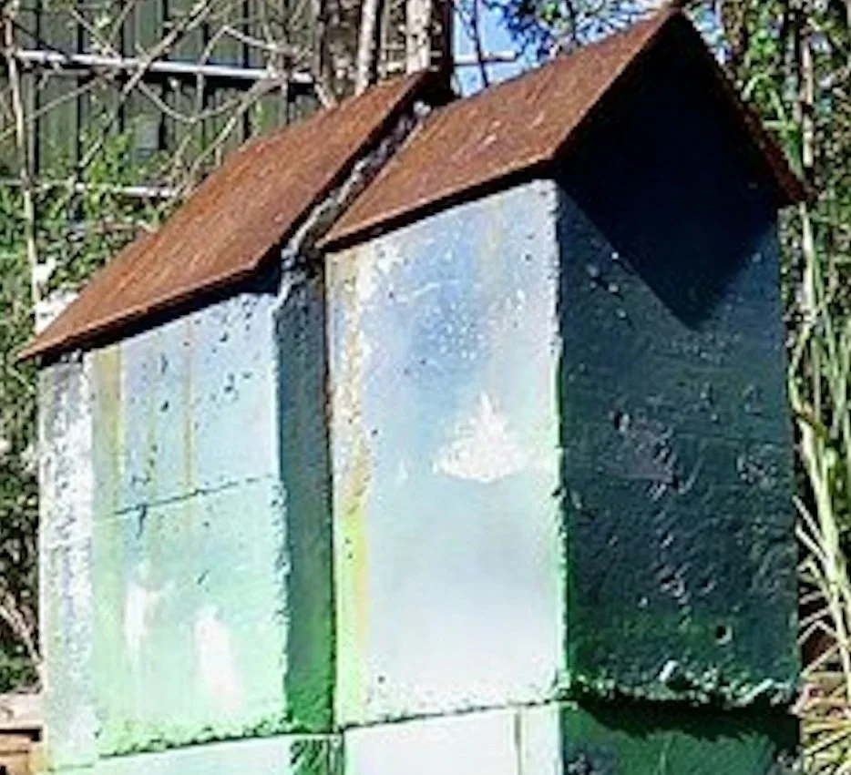 651a7cd8-c886-4221-b9f5-f2b046802796 (4).jpg