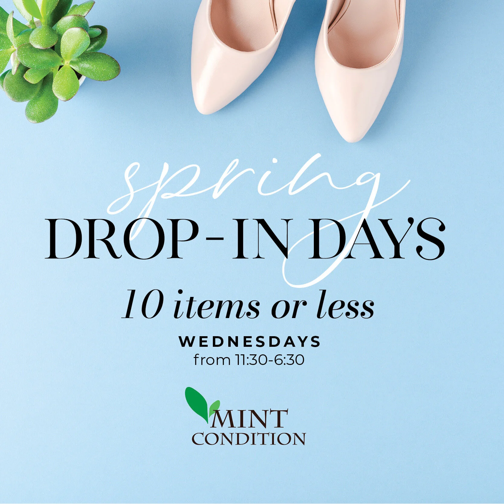 Mint Condition Spring Drop-In Days
