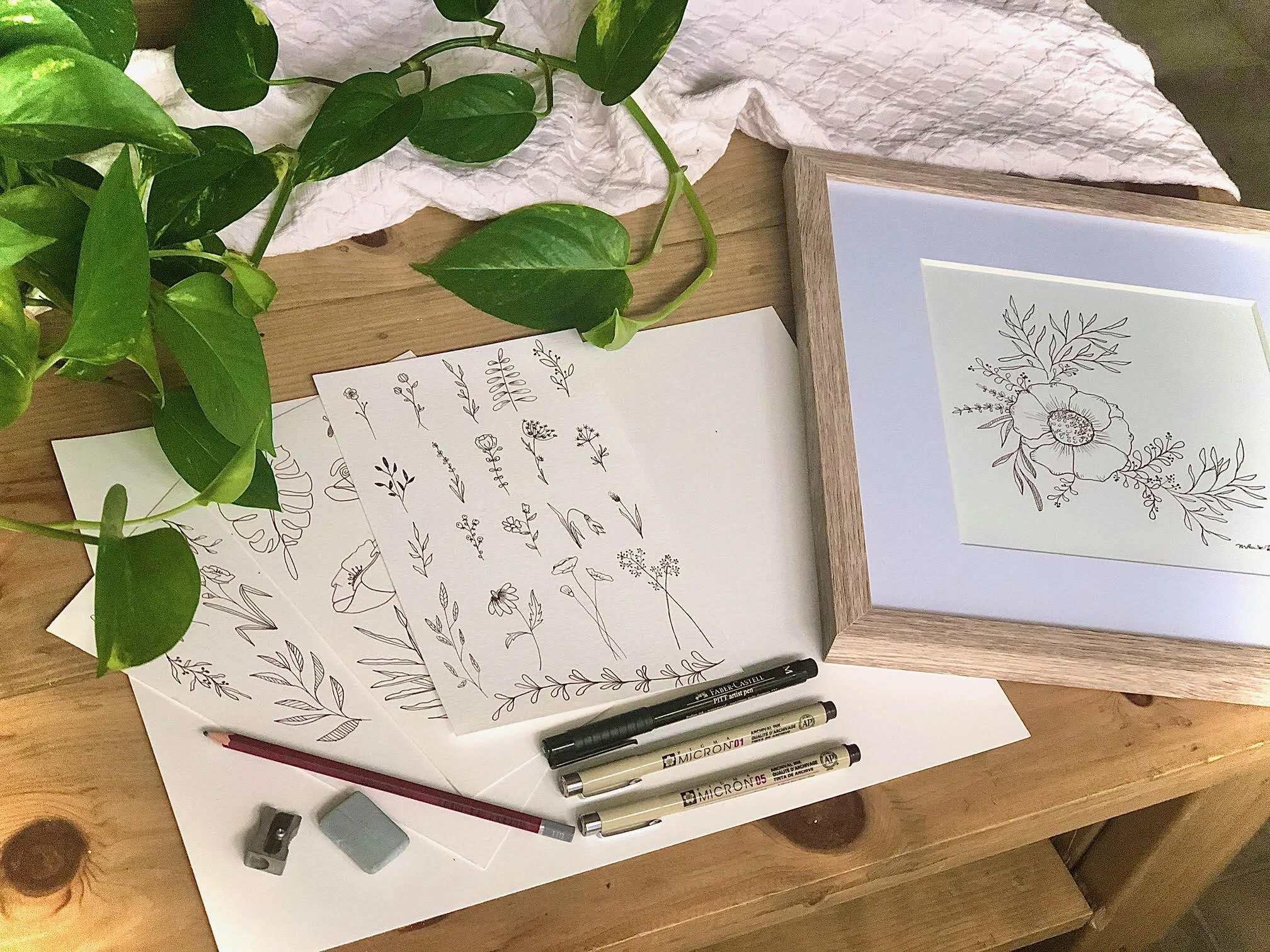 Special: Intro to Botanical Line Drawing &amp; Mimosa Bar