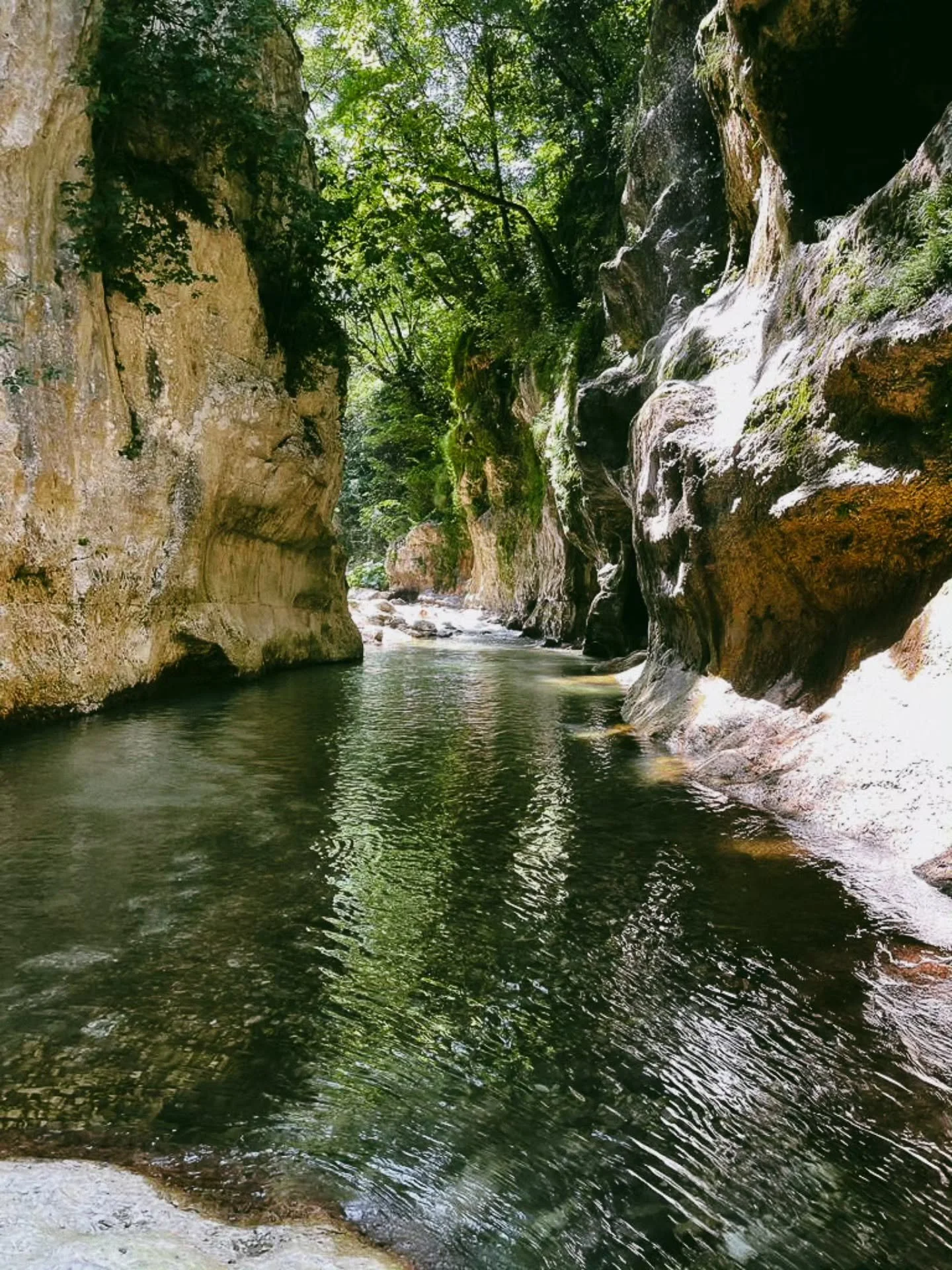 Dust off your hiking boots.

Stretch your city lungs.

Prepare to lose phone signal (and possibly track of time).

There will be mountain air.

There will be raki.

There will definitely be sheep.

See you in Nivica 🤍 Camp Nivica opens for the 2026 