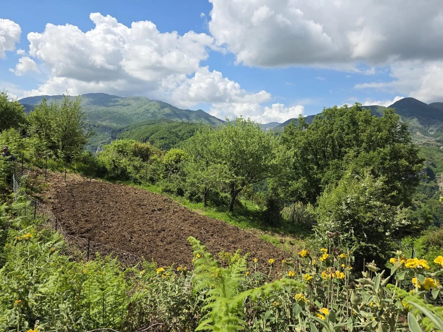 Kitchen garden all prepped and ready for summer!! 🪏☀️🌿