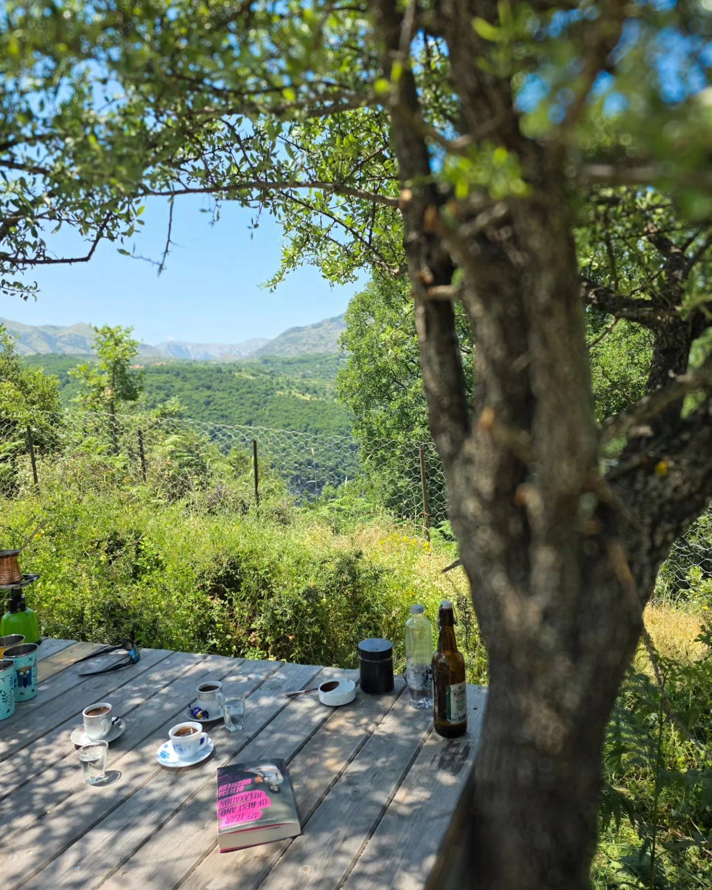 Garden coffee 
📚☕️🌱🍅🥬🌽☀️