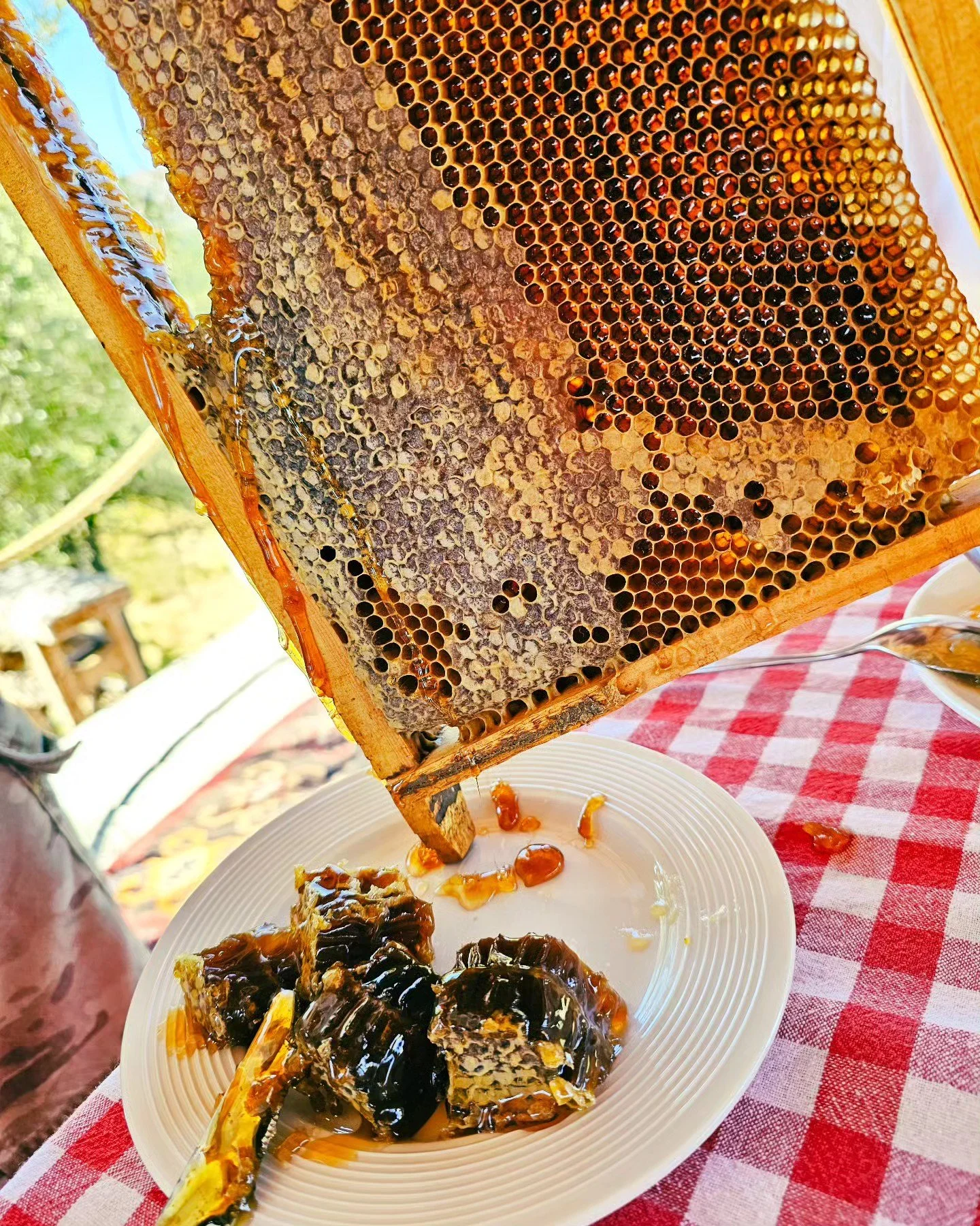 Sweet morning - honey and milk 💛 🍯🥛