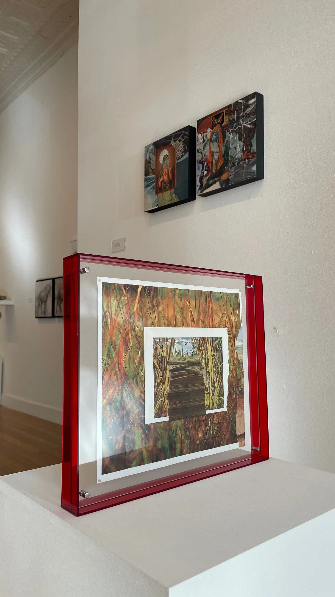 Faust - SEEDS - Margins on the Horizon - Exhibition .JPG