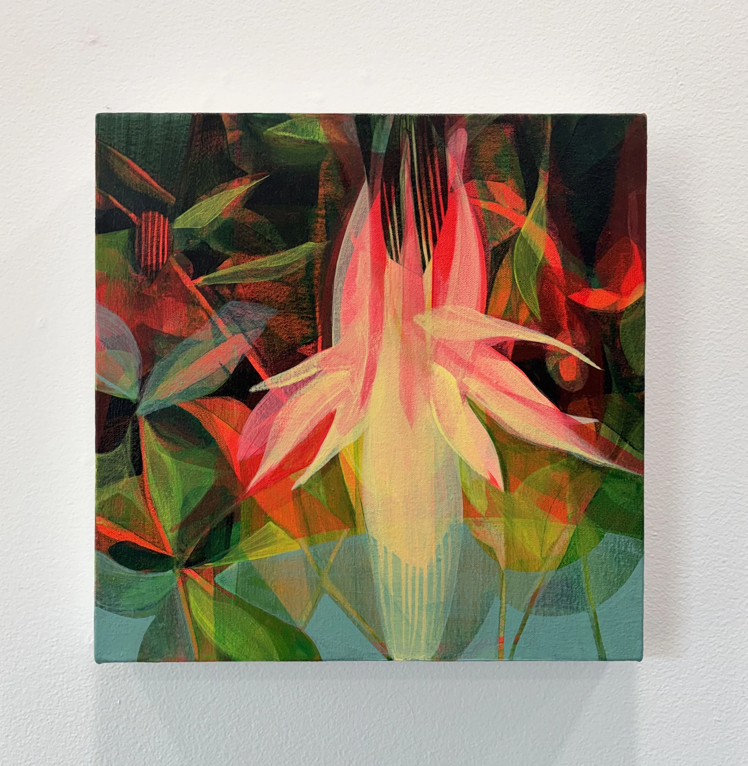 FullBloom1.jpg